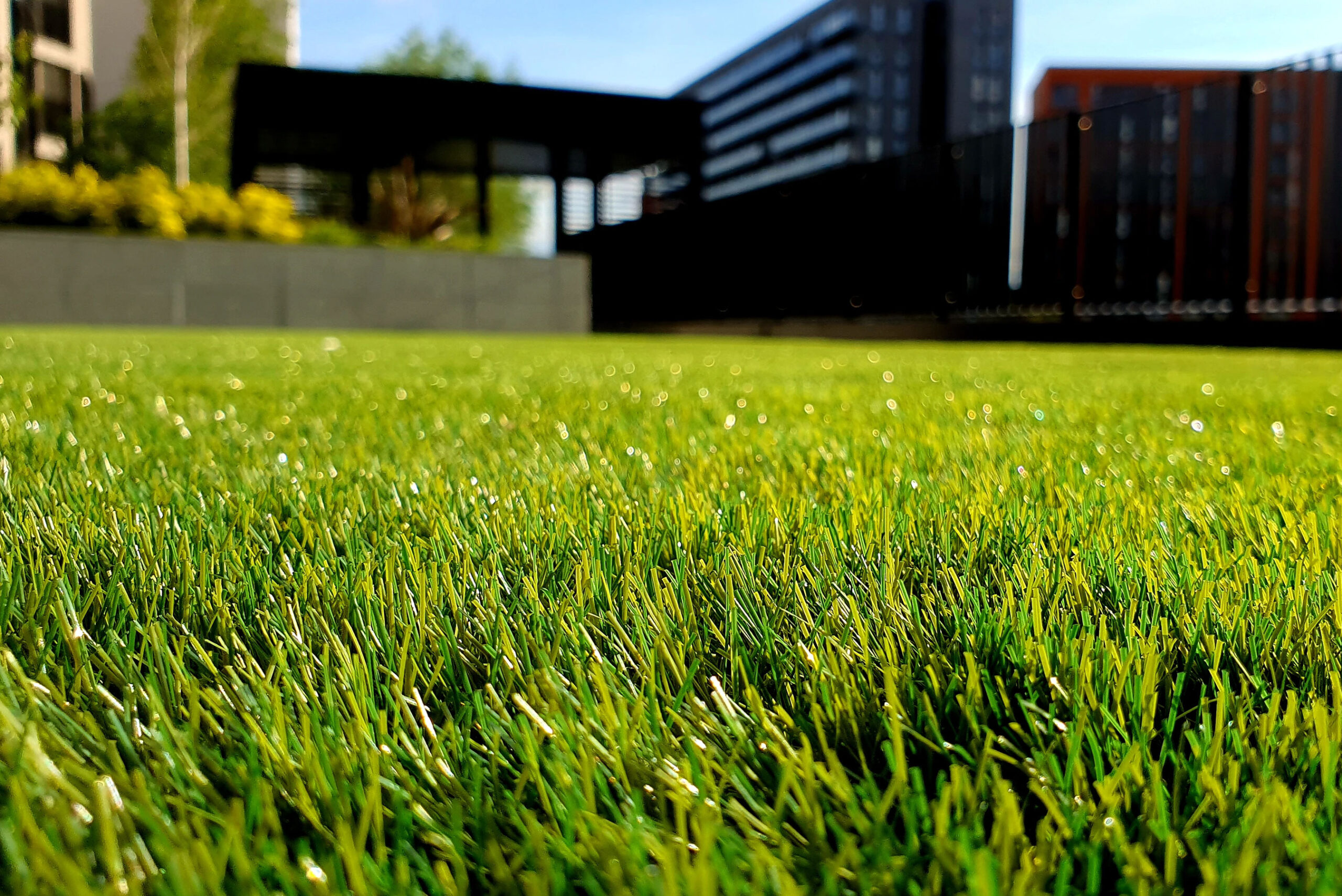 Well Maintained Lawn landscaper-gallery-02