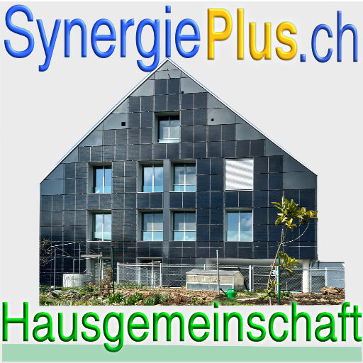SanergieplusHausLogo